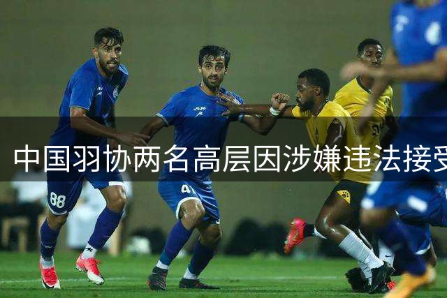 中国羽协两名高层因涉嫌违法接受调查